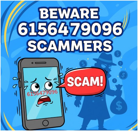 What Kinds of Scams Are Linked to 6156479096