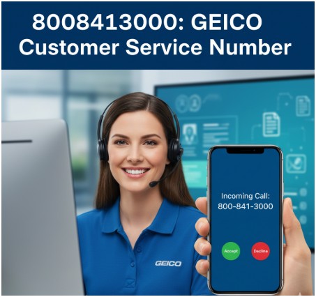 What is 8008413000 really for